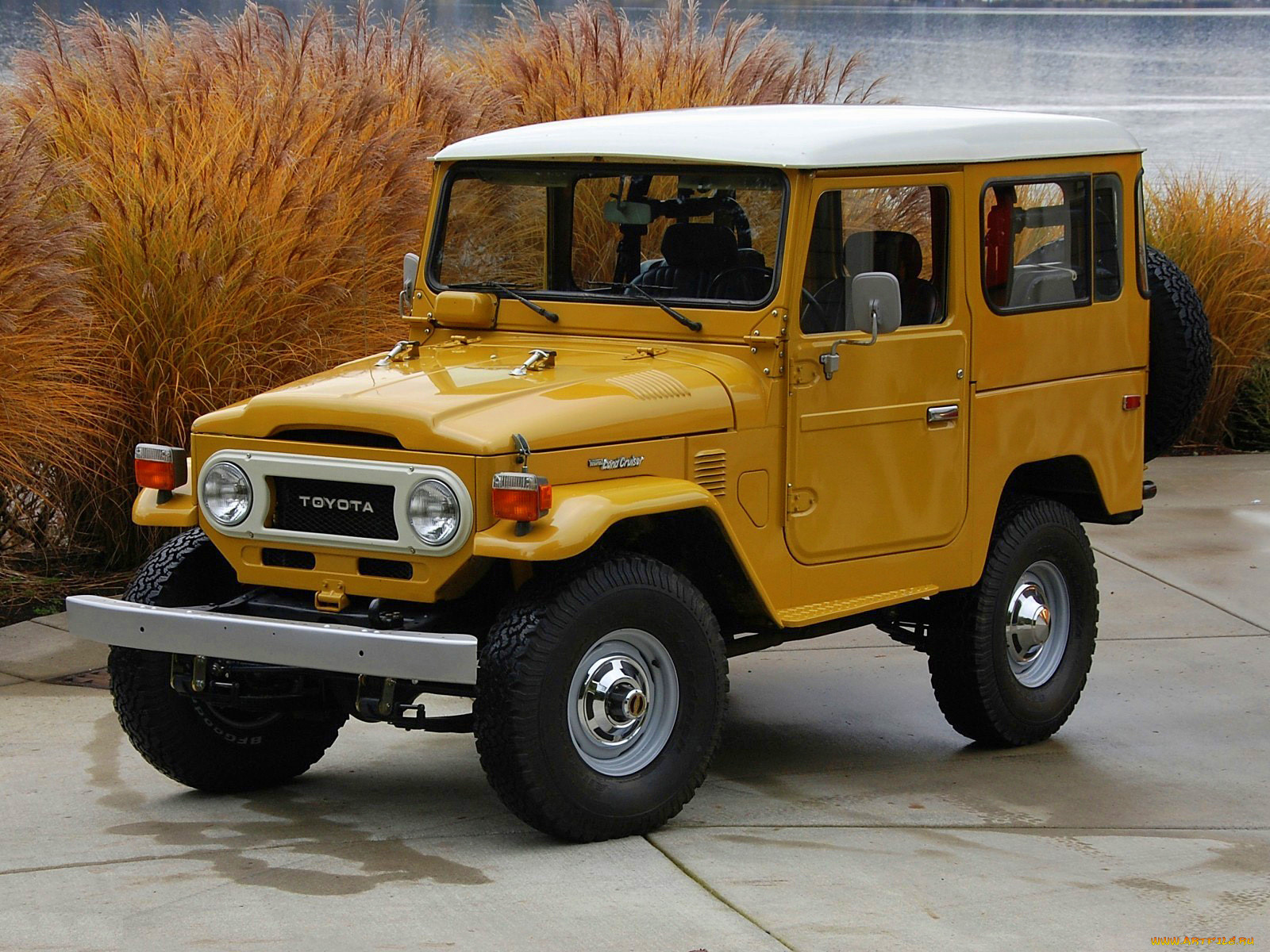 , toyota